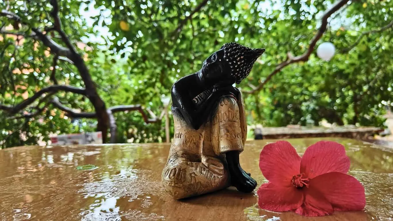 Buddha sitting and thinking with a red rose